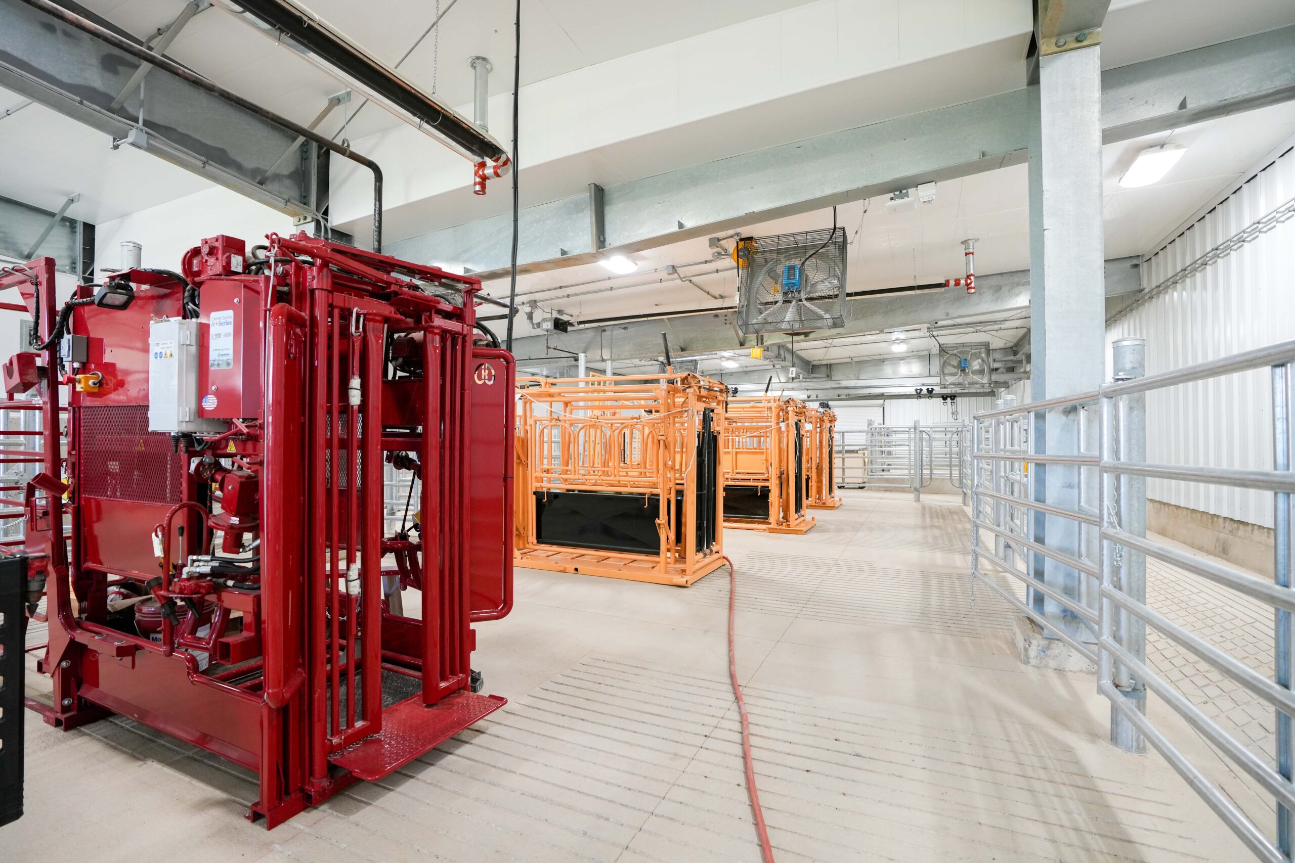 Animal handling area featuring red and orange hydraulic chutes and overhead lighting at MSU’s Dairy Cattle Teaching and Research Center.